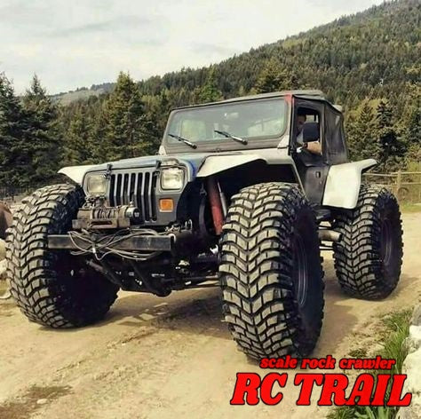 RC4WD ミッキートンプソン バハクローTTC2.2" スケール ロッククローラータイヤ (2本)Z-T0065 - RCTRAIL